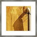 Plastic Pipe And Its Shadow On Brown Textured Wall Framed Print
