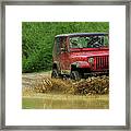 Playing In The Mud Framed Print