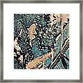 Playing It Koi Framed Print