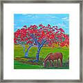 Pleasent Pastures Framed Print