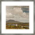 Pobull Fhinn Stone Circle Framed Print