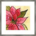 Poinsettia Framed Print