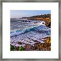 Point Lobos Framed Print