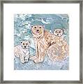 Polar Bears Three Framed Print