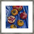 Pomegranates And Persimmons On Blue Silk Framed Print