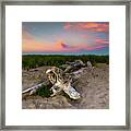 Popham Beach Driftwood At Sunset Framed Print