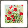 Poppies And Mayweed Framed Print