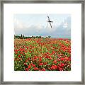 Poppies And Silver Spitfire Framed Print