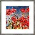 Poppies Framed Print