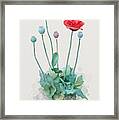 Poppy Framed Print