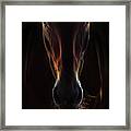 Portrait Of A Brown Horse Close Up Framed Print