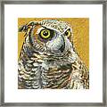 Portrait Of A Great Horned Owl Framed Print