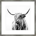 Portrait Of A Highland Cow Framed Print