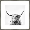 Portrait Of A Highland Cow - Vertical Orientation Framed Print