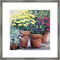 Pots In Bloom Framed Print