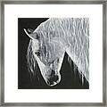Power Horse Framed Print