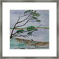 Powerful Winds Of Tierra Del Fuego Argentina Framed Print