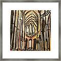 Prague Catherderal Framed Print