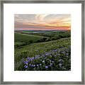 Prairie In Bloom Framed Print
