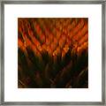 Prairie Splendor Framed Print