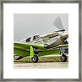 Precious Metal Final Flight Framed Print