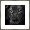 Preditor Eyes Framed Print