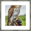 Preparing For Flight Framed Print