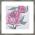 Pretty And Pink Roses Framed Print