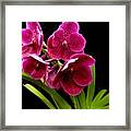 Pretty As A Picture Framed Print