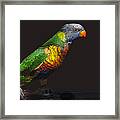 Pretty Bird Framed Print