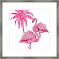 Pretty Flamingos Framed Print