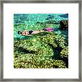 Pretty Woman In Bikini Snorkeling Through Turquoise Water At The Coast Framed Print