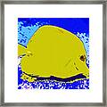 Pretty Yellow Fish Framed Print