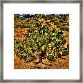 Prickly Pear In Bloom With Brittlebush And Cholla For Company Framed Print
