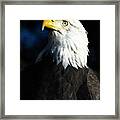 Pride And Power Framed Print