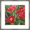 Primrose Framed Print