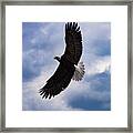 Prince Rupert Soaring Eagle Framed Print