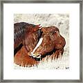 Private Moments Framed Print