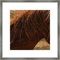 Profile In Texture Framed Print