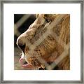 Profile Of A King Framed Print