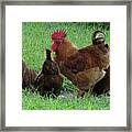 Protection From Harm Framed Print