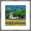 Provence Framed Print