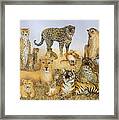 The Big Cats Framed Print