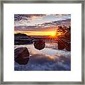 Puddle Paradise Framed Print