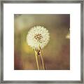 Puffer Framed Print