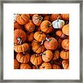 Pumpkin Babies Framed Print