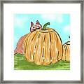 Pumpkin Cat Framed Print