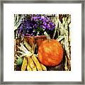 Pumpkin Corn And Asters Framed Print