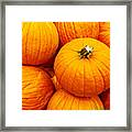 Pumpkin Meeting Framed Print