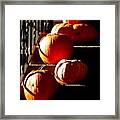 Pumpkin Morning Framed Print